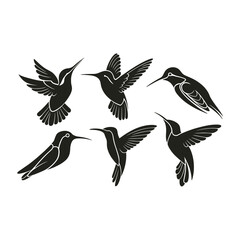 Obraz premium Six stylized black hummingbirds in flight on white background