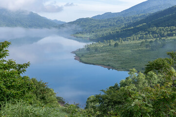群馬県野反湖の夏景色 - 豊かな緑と湖面が織りなす絶景