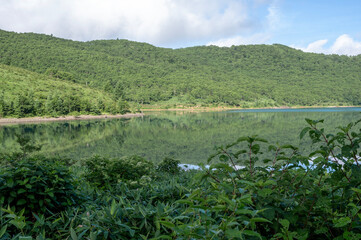 緑豊かな山々に囲まれた野反湖の風景