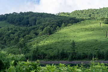 野反湖畔の緑豊かな風景