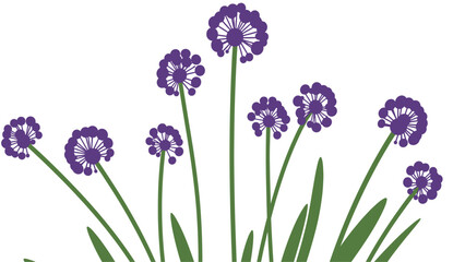 Obraz premium Abstract Purple Allium Flowers Illustration on White Background