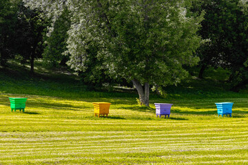 colored bee hives in an apiary, close-up. hives in the apiary. bee honey. 