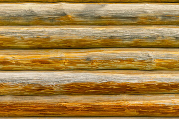 fragment of a wall made of wooden logs. log wall background. log background. natural wood wall. 