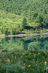 緑豊かな山々に囲まれた野反湖の風景