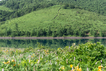 野反湖畔の緑豊かな風景