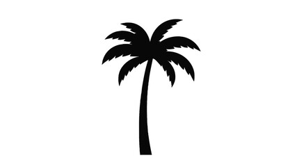 Palm Tree Silhouette