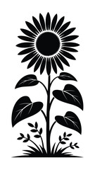 Elegant black silhouette of a tall sunflower with large leaves
