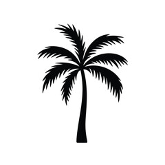 Silhouette of a tropical palm tree with fronds