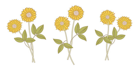 Set of three bouquets of yellow flowers. Bunches of blooming wildflowers with leaves, perennial wild plants. Botanical hand-drawn elements for design projects. Vector illustration