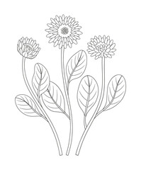 Set of three flowers with leaves. Bouquet of blooming perennial wild plants, wildflowers. Line art, minimal style, contour. Botanical hand-drawn elements for design projects. Vector illustration