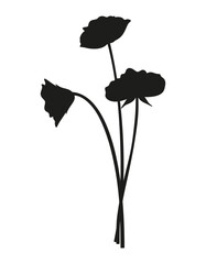 Bouquet of three wildflower silhouettes. Bunches of blooming perennial wild plants with stems, minimal style. Botanical hand-drawn elements for design projects. Vector illustration