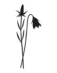 Bell bouquet silhouette. Bunch of blooming wildflowers, flower and bud, minimal style. Botanical hand-drawn elements for design projects. Vector illustration
