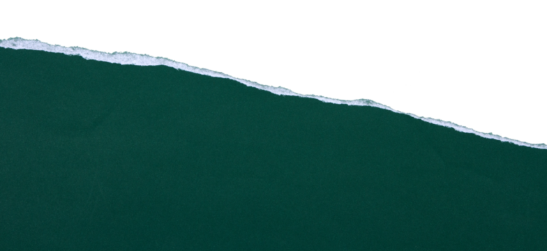 dark green torn with edge is on transparent background. bottom composition. border design for text or ad. design. temlpate design