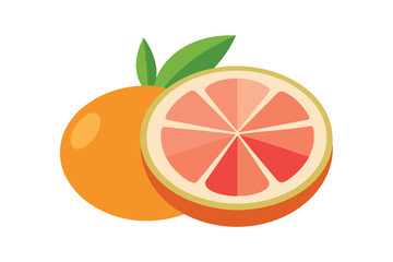 Grapefruit Half In Pink And Orange Vector On White