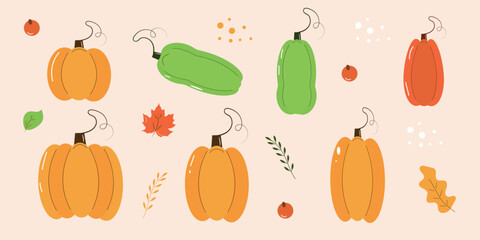 Autumn pumpkin set. Season leaf, vegetable, berry, plant. Cozy collection for autumn seasonal web design. Vector illustration