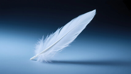Close-up of white feathers