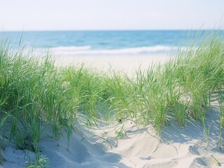 Beautiful coastal scene with tall sand dunes and grasses growing along the shoreline. This peaceful environment is perfect for a relaxing beach day.