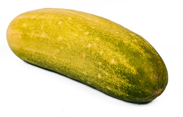 Fresh Cucumber Isolated on White Background