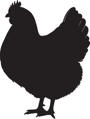 DorkingsSingle Comb hen in silhouette white backgrpound pure.