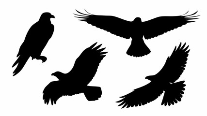 Obraz premium Silhouette illustration featuring four eagles in various poses standing and flying against a white background | editable eps vectors