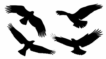 Silhouette illustration of four birds of prey eagles hawks flying in different positions against a white background | editable eps vectors
