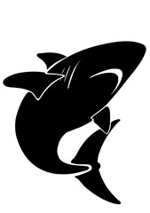 shark vector illustration