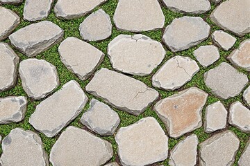 Obraz premium Irregular Stone Pathway with Green Grass Fillings