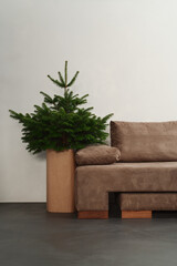 Small christmas tree indoor near couch