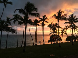 sunset on the beach