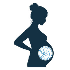 Pregnant Woman with Fetus in Womb Icon – Pregnancy Symbol Vector Illustration on White Background