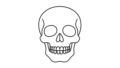 Simple black outline drawing of a human skull
