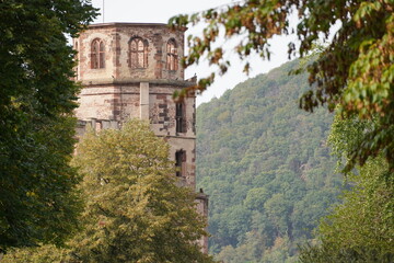 Naklejka premium Burgturm im Wald
