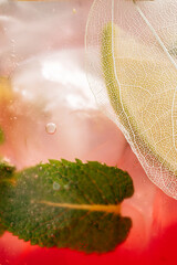 Closeup of a bubbly cocktail with foamy top and a slice of dried orange garnish. Perfect for...