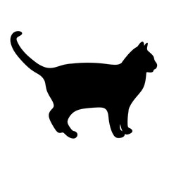cat silhouette