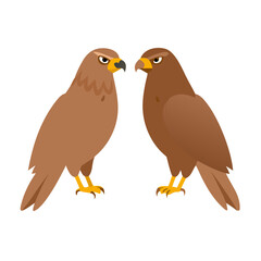 Two brown hawks birds of prey illustration