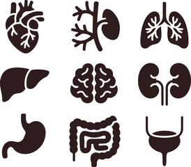 Human internal organs black icon set for health medical education and science designs.