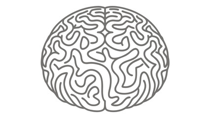 Obraz premium Minimalist line drawing of brain coral top view.