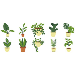 Green Simple Houseplant Illustration