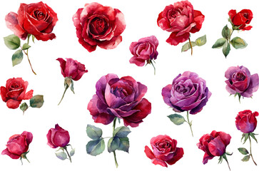 seamless pattern with roses
