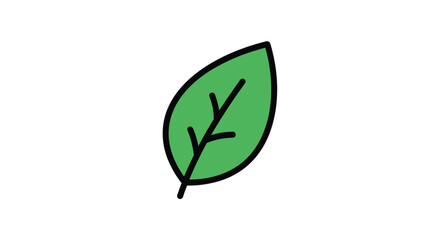 Simple green leaf illustration with dark veins on a white background a beautifully drawn natural element for your design projects
