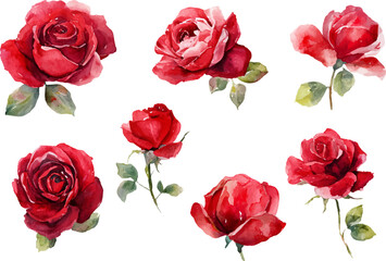 set of red roses vector