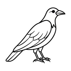 Simple outline drawing of a crow standing