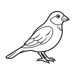 Simple line drawing of a small bird