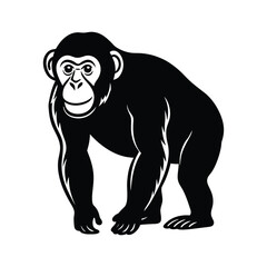 Fototapeta premium A chimpanzee line art silhouette vector illustration