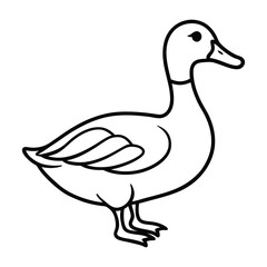 Simple outline drawing of a duck