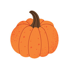 Pumpkin, autumn vegetable for Halloween. Cute round squash drawn in doodle style. Orange fall gourd with curved brown stem. Flat vector illustration of pumpkin isolated on white background.