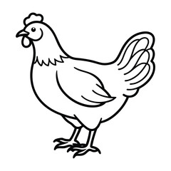 Simple line drawing of a chicken