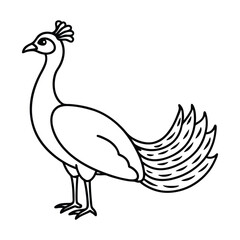 Simple line art drawing of a peacock