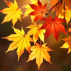 Autumn maple leaves. A close up of a tree branch with yellow and orange leaves. 