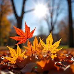 Autumn maple leaves. Leaves of different sizes are on the ground, with one of them being the largest. The leaves are orange and appear to be from a tree. The image has a peaceful and serene mood.     